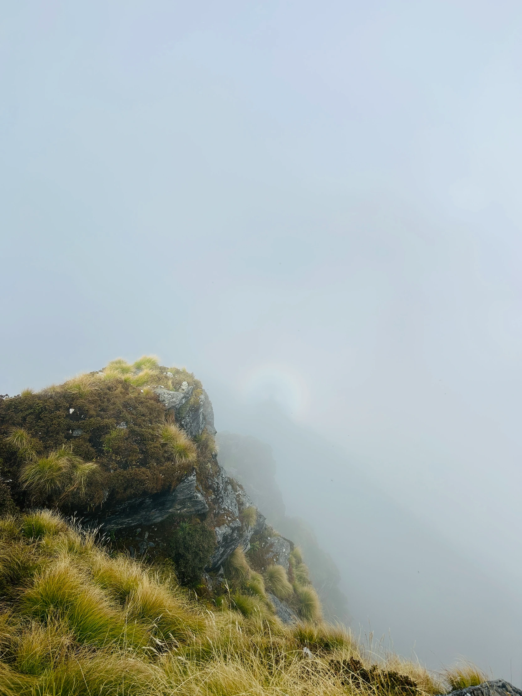 Haridwar – Kedarnath – Tungnath – Badrinath – Rishikesh Yatra